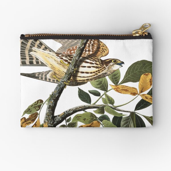 Aperçu de l'œuvre Merlin - John James Audubon créée et vendue par billythekidtees.