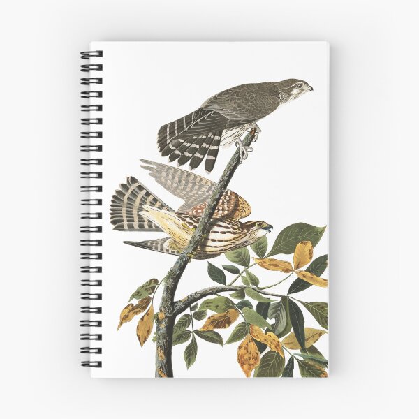 Item preview, Merlin - John James Audubon designed and sold by billythekidtees.