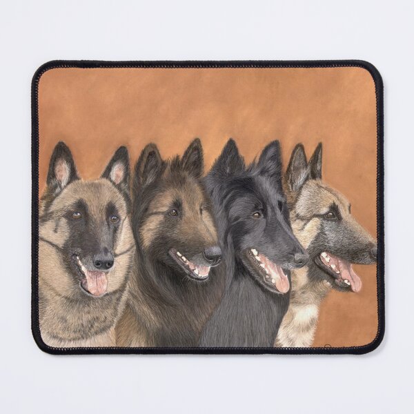 Item preview, Four varieties of the Belgian shepherds designed and sold by BelgianDogs.