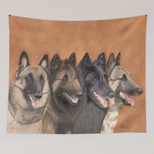Item preview, Four varieties of the Belgian shepherds designed and sold by BelgianDogs.