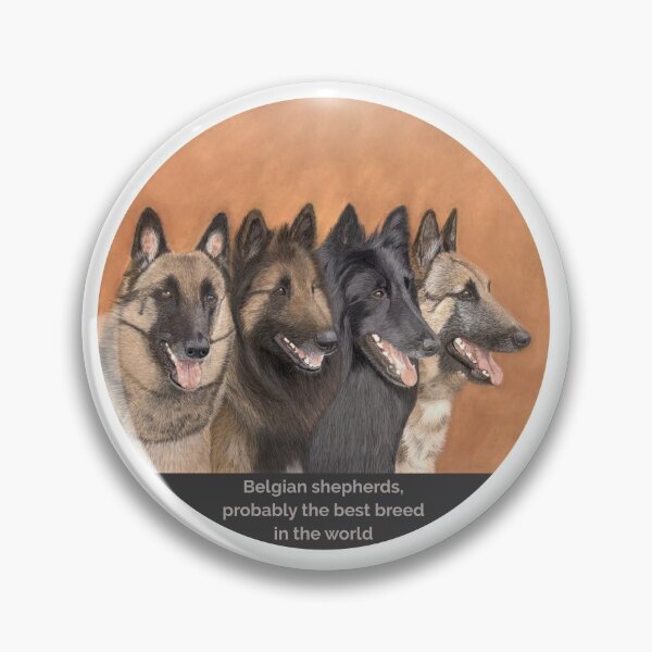 Item preview, Four varieties of the Belgian shepherds designed and sold by BelgianDogs.