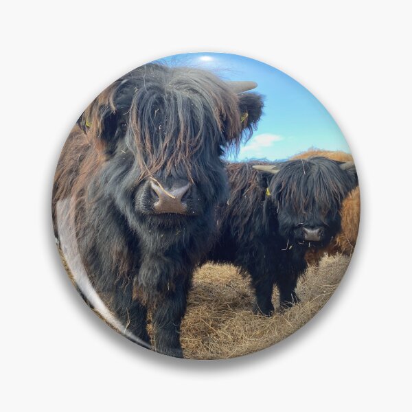 Artikelvorschau, Scottish Highland Cattle Calves 2779 entworfen und verkauft von SaarelaHighland.