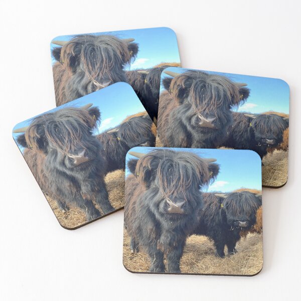 Item preview, Scottish Highland Cattle Calves 2779 designed and sold by SaarelaHighland.