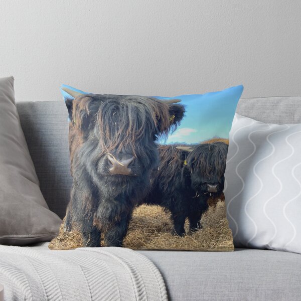 Artikelvorschau, Scottish Highland Cattle Calves 2779 entworfen und verkauft von SaarelaHighland.