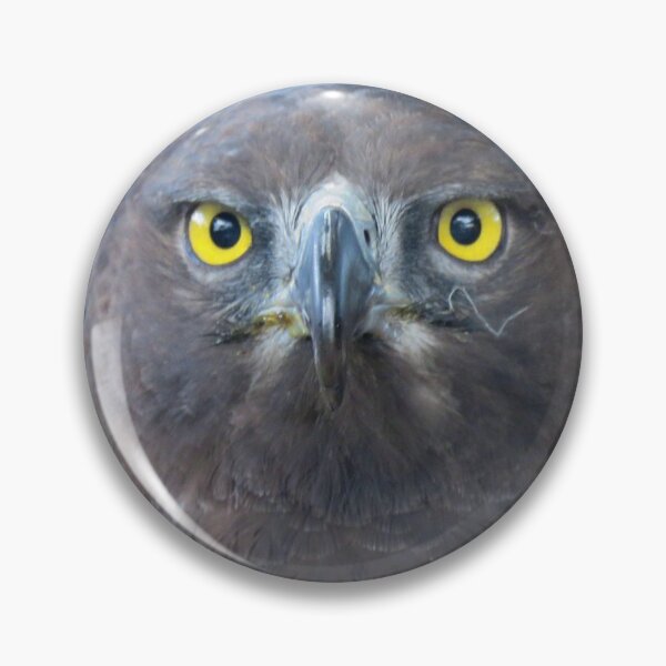 Item preview, Eagle eye mk2 designed and sold by BiodiversityRocks.