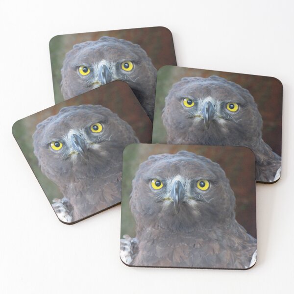 Item preview, Eagle eye mk2 designed and sold by BiodiversityRocks.