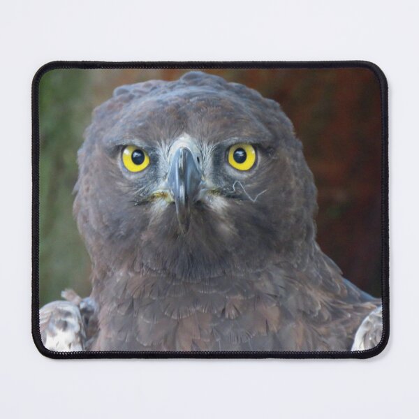 Item preview, Eagle eye mk2 designed and sold by BiodiversityRocks.