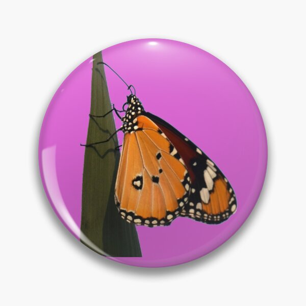 Item preview, Danaus butterfy - Photography by Yael Bar designed and sold by josesita.