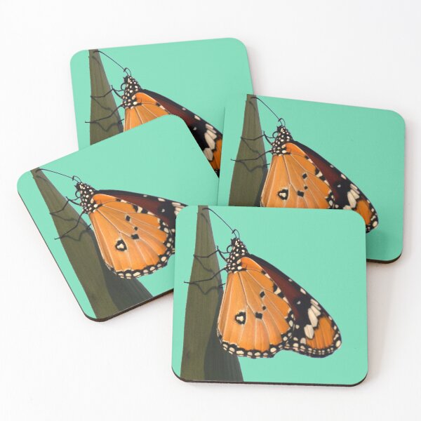 Item preview, Danaus butterfy - Photography by Yael Bar designed and sold by josesita.