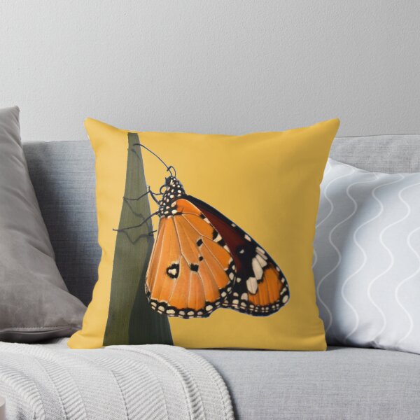 Item preview, Danaus butterfy - Photography by Yael Bar designed and sold by josesita.