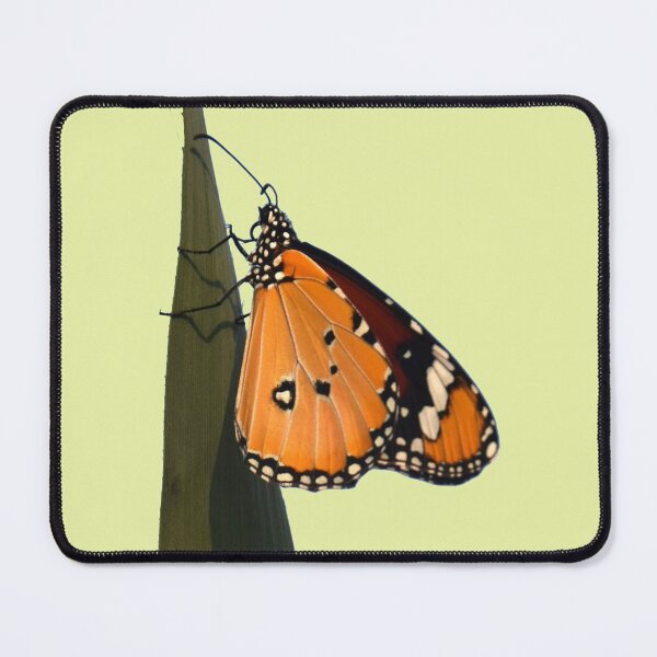 Item preview, Danaus butterfy - Photography by Yael Bar designed and sold by josesita.