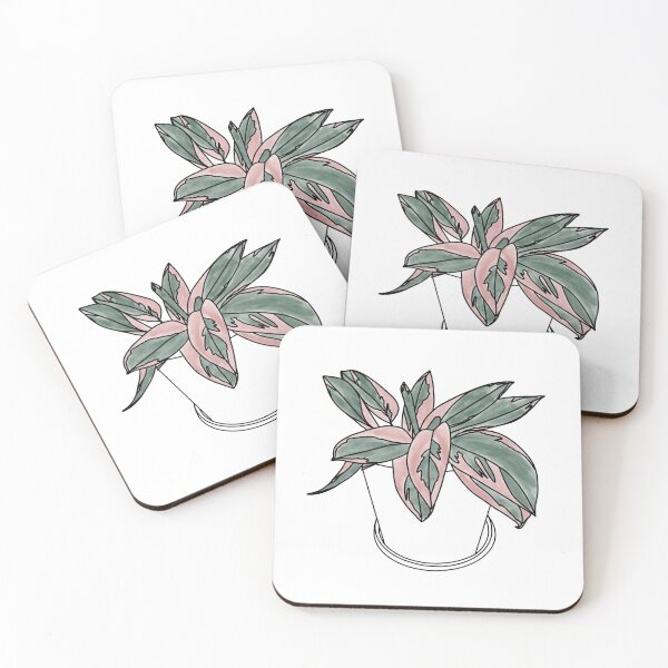 Item preview, Stromanthe Triostar Houseplant Line Drawing in Color designed and sold by makesbymiss.