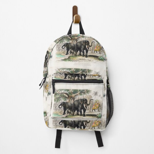 Item preview, Asiatic Elephant and Caparisoned Elephant from A history of the earth and animated nature designed and sold by JOY STORE 45.
