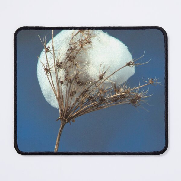 Item preview, Snow Cone designed and sold by Bill Spengler's Photographic Thoughts.