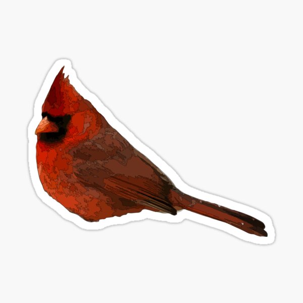 Cardinal Sticker
