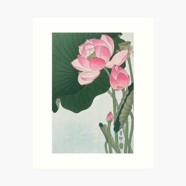 Item preview, Japanese Art Blooming lotus flowers (1920 - 1930) by Ohara Koson designed and sold by Designedbysm.