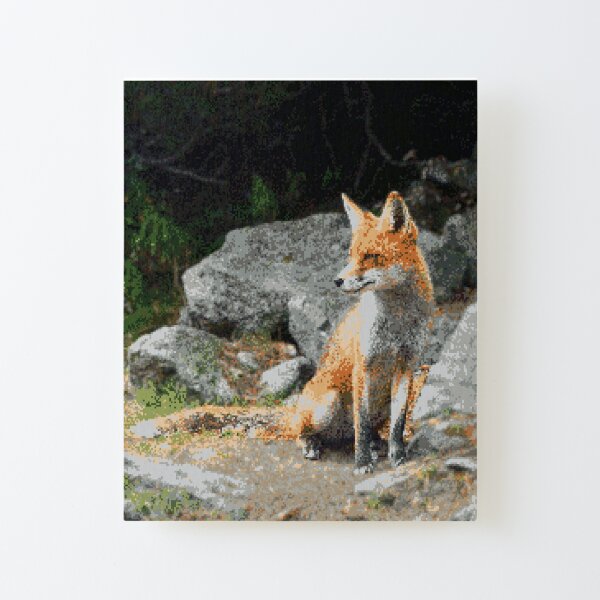 Decoration Interieure Tentures Murales Tapis Maison Photo Poster Animal Sauvage Art Encadree Imprimer Red Fox Chiots Jeu De Combat