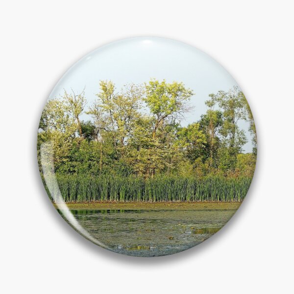 Artikelvorschau, Waverly Lake MN-Studie 1 entworfen und verkauft von Robert Meyers-Lussier.