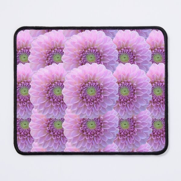 Item preview, Purple Dahlia Flower Still Life Floral Photography designed and sold by CottoVerdi.