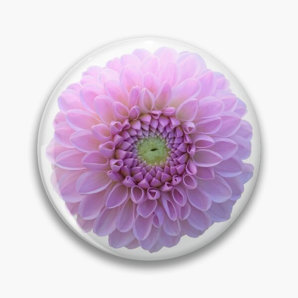 Item preview, Purple Dahlia Flower Still Life Floral Photography designed and sold by CottoVerdi.