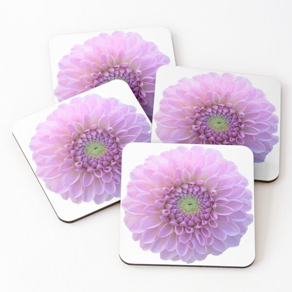 Item preview, Purple Dahlia Flower Still Life Floral Photography designed and sold by CottoVerdi.