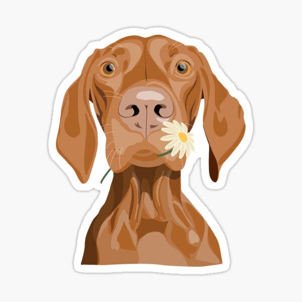 Cute Hungarian Vizsla with Daisy  Sticker