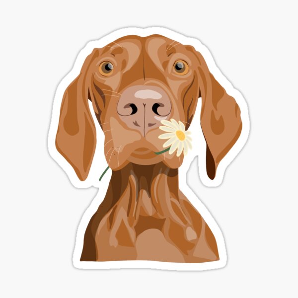 Artikel-Vorschau von Niedlicher ungarischer Vizsla mit Gänseblümchen , designt und verkauft von Olivia's Doodle Den.