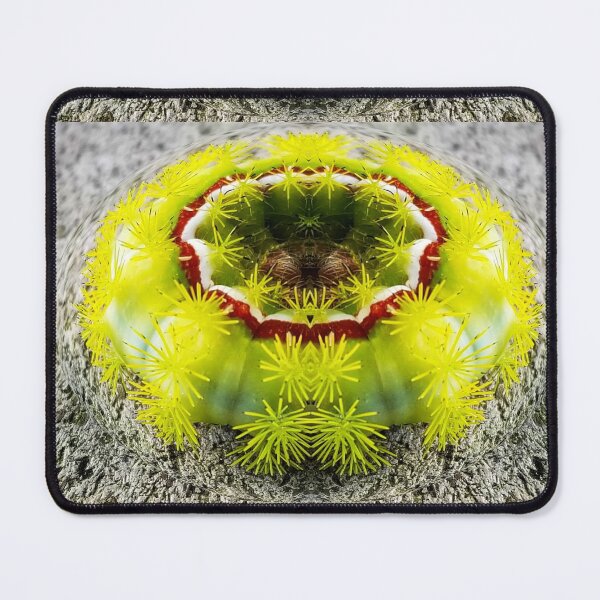 Item preview, Caterpillar Donut designed and sold by Dead-Moroz.
