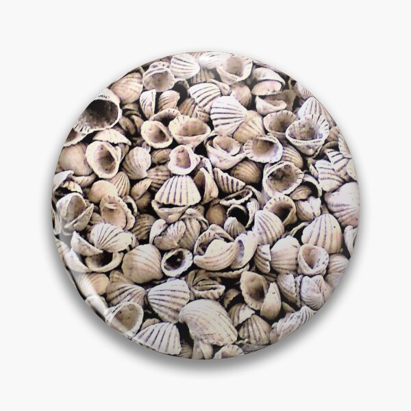 Item preview, Clam Sea Shells designed and sold by Tony Cisse.