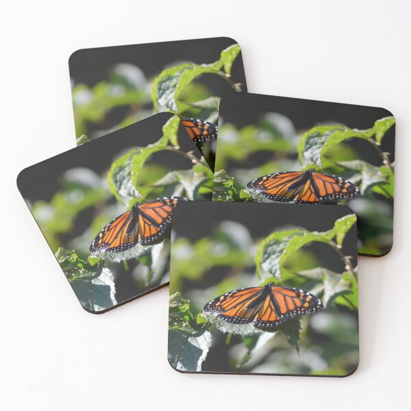 Item preview, Monarch on raspberry leaves designed and sold by enchantedvibes.