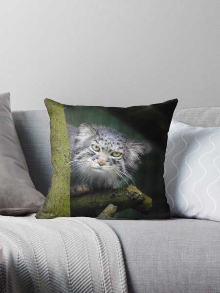 Item preview, Wild Cats - Pallas Cat designed and sold by Carole Anne Ferris.