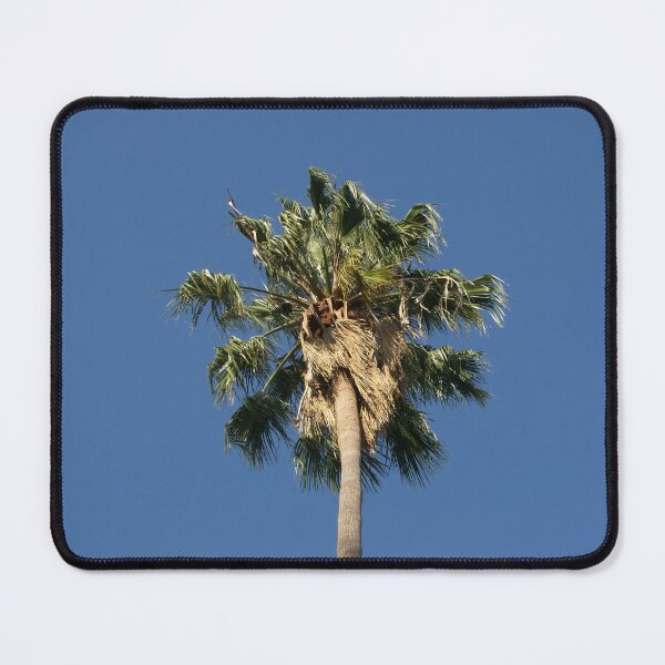 Item preview, Palm Tree & a Blue Sky designed and sold by leeslayyy.