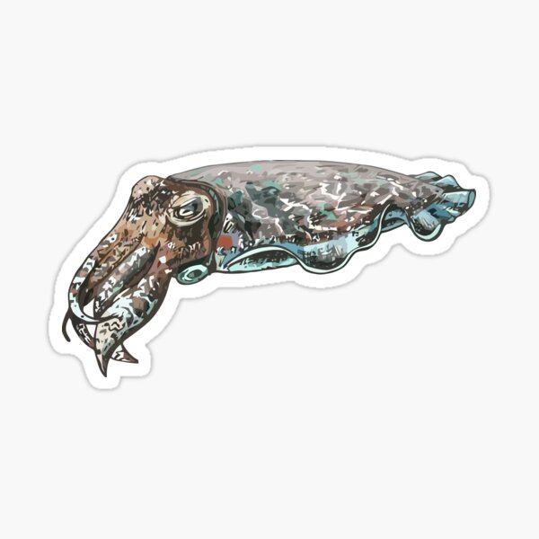 Item preview, cuttlefish designed and sold by zaher97.