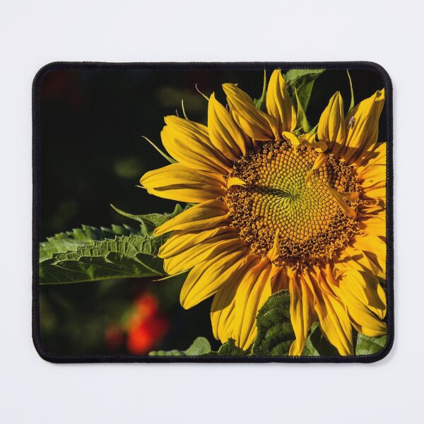 Item preview, Good Morning designed and sold by alanathrower.