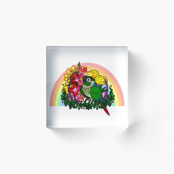 Green Cheek Conure Rainbow Bridge Reggie <3 Acrylic Block