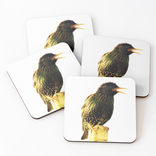 Item preview, Good Morning Birdsong designed and sold by Haloproductions.