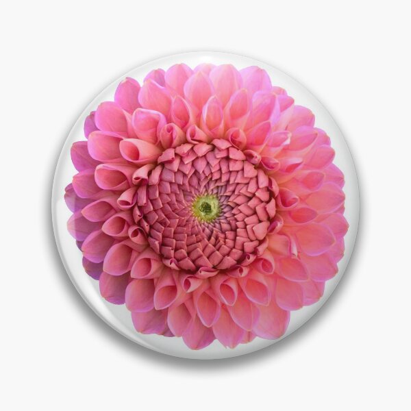Item preview, Peach Dahlia Flower Still Life Floral Photography designed and sold by CottoVerdi.