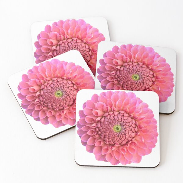Item preview, Peach Dahlia Flower Still Life Floral Photography designed and sold by CottoVerdi.