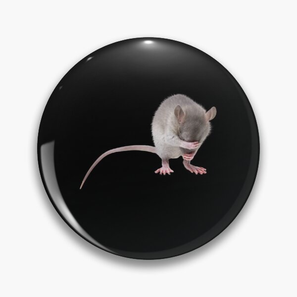 Item preview, Cute Shy Rat designed and sold by 37jlee.
