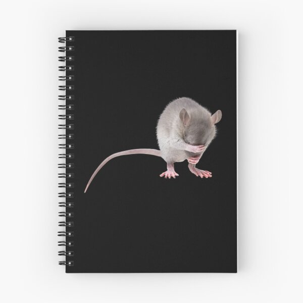 Item preview, Cute Shy Rat designed and sold by 37jlee.