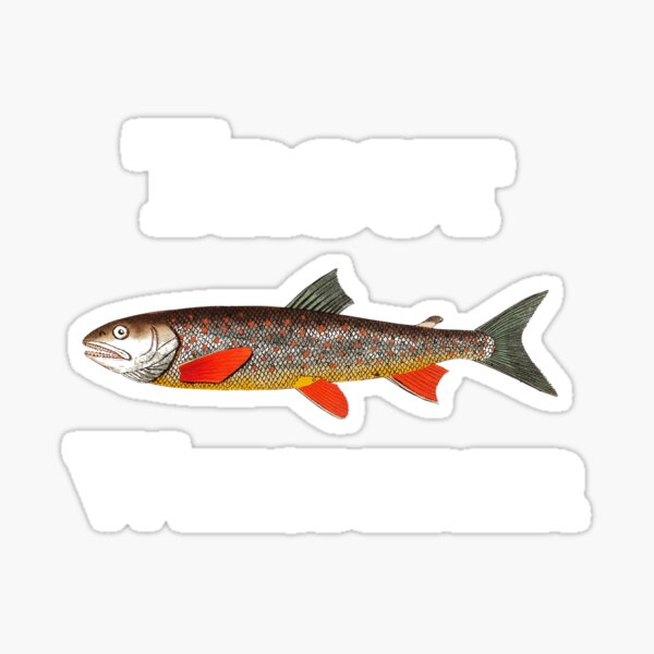Vista previa del artículo con la obra «Pesca de truchas - Regalo de susurrador de truchas arcoíris Steelhead para pescadores», diseñado y vendido por Boum04.