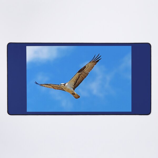 Item preview, Nice Day For Flying designed and sold by Deb Oppermann.