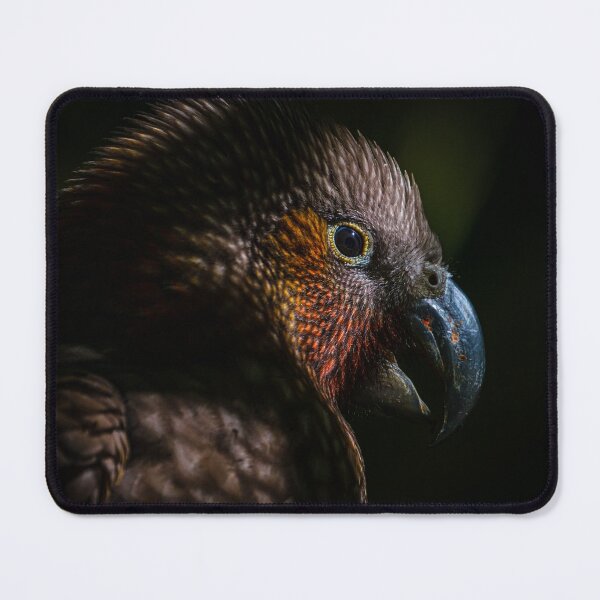 Item preview, Kākā designed and sold by nickfarrelly.