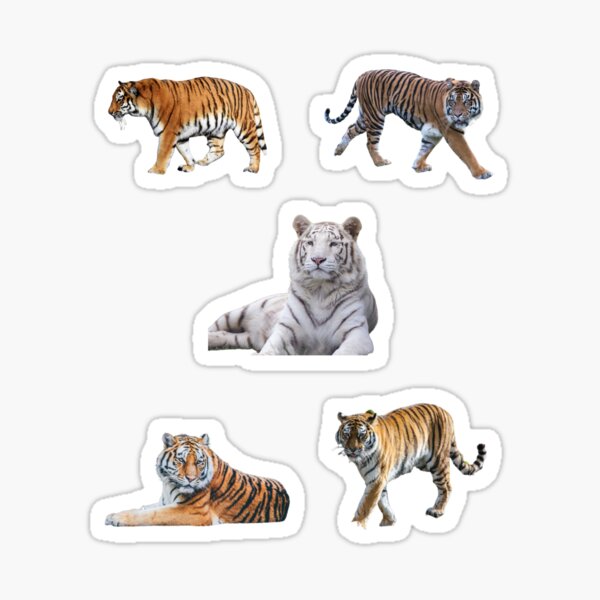 Vista previa del artículo con la obra «Lindo conjunto de tigre», diseñado y vendido por 37jlee.