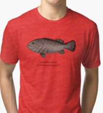 Grouper goliath Tri-blend T-Shirt
