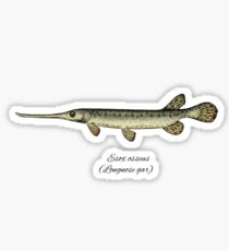 Longnose gar Sticker