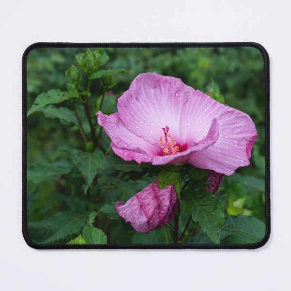 Item preview, Pink Hibiscus 4-2021 designed and sold by Thomasyoung.