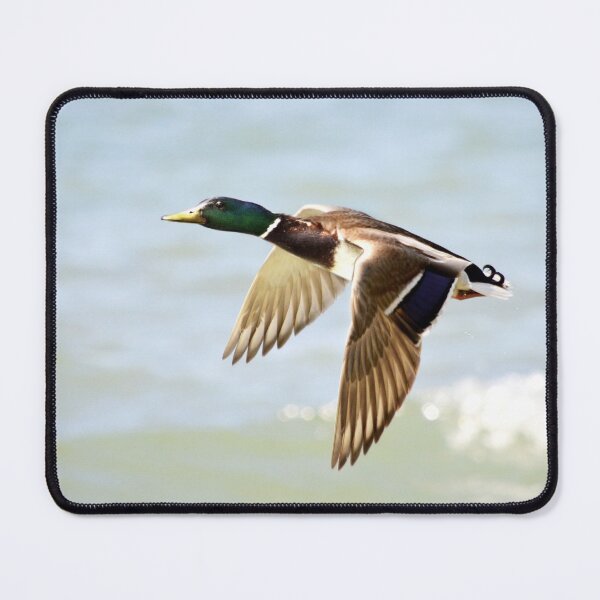 Item preview, Mallard in flight designed and sold by Laurie Minor.