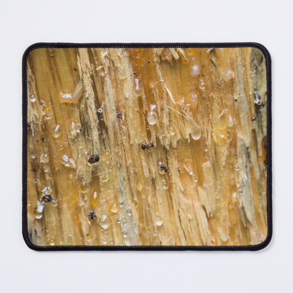 Item preview, Tree details designed and sold by Zina Stromberg.