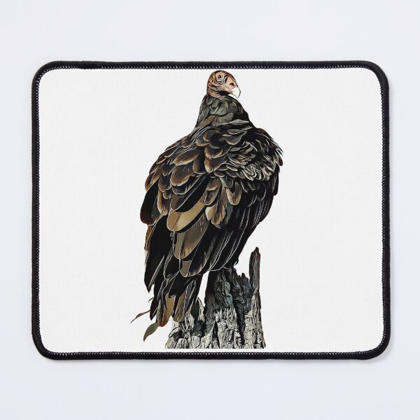 Item preview, Turkey Vulture designed and sold by KxNation.